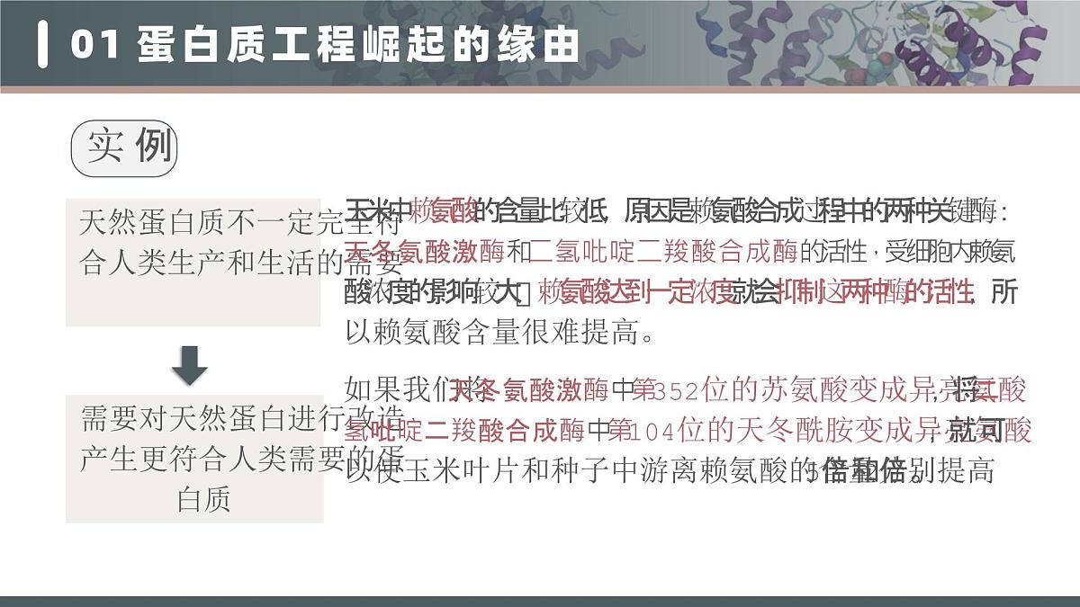 人教版2025高中生物选择性必修三3.4蛋白质工程的原理和应用 课件第8页