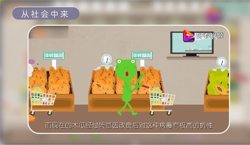 人教版2025高中生物选择性必修三4.1转基因产品的安全性 课件第5页