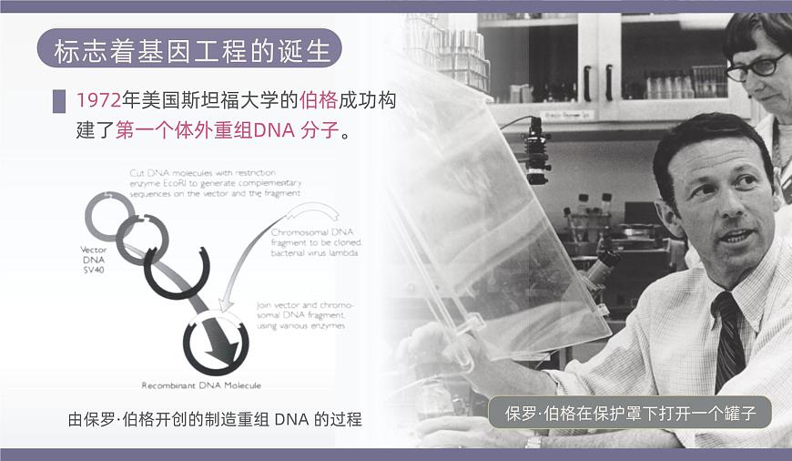 人教版2025高中生物选择性必修三4.1转基因产品的安全性 课件第6页