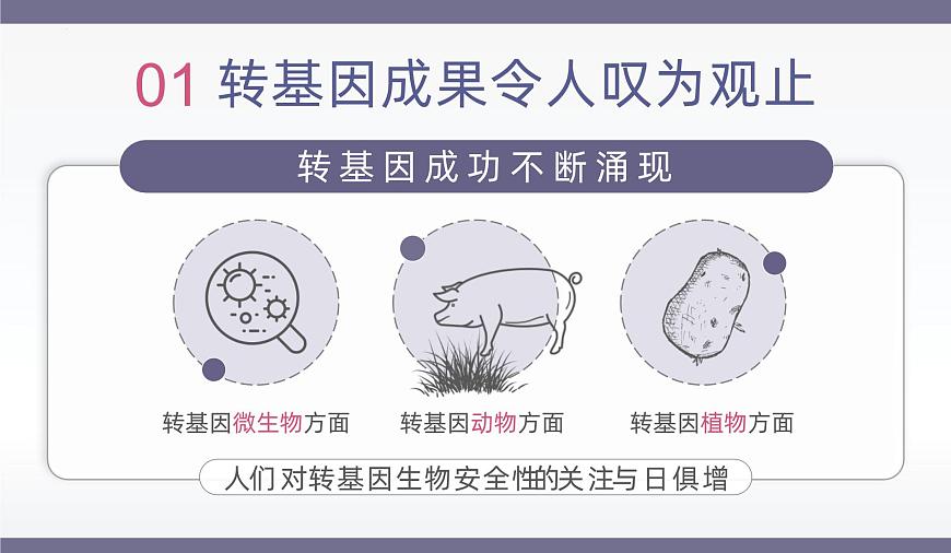 人教版2025高中生物选择性必修三4.1转基因产品的安全性 课件第7页