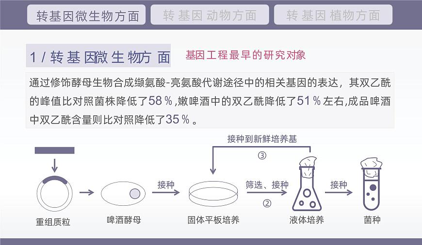 人教版2025高中生物选择性必修三4.1转基因产品的安全性 课件第8页