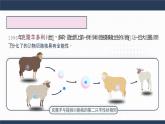 人教版2025高中生物選擇性必修三4.2關(guān)注生殖性克隆人   課件