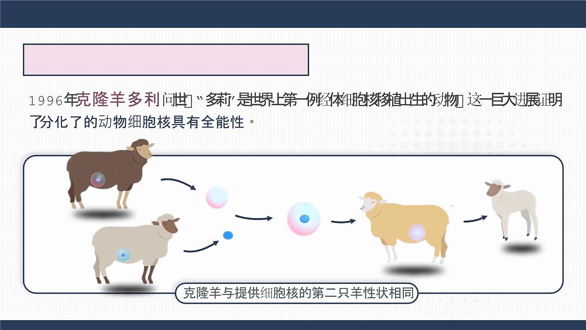 人教版2025高中生物选择性必修三4.2关注生殖性克隆人   课件第4页