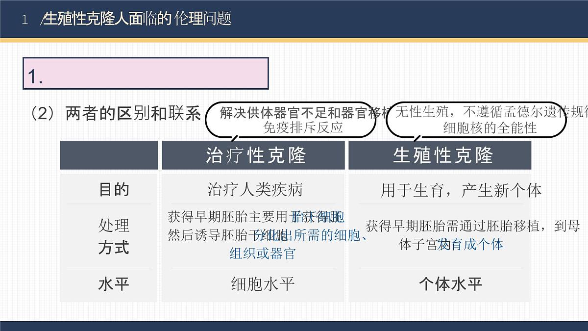 人教版2025高中生物选择性必修三4.2关注生殖性克隆人   课件第7页