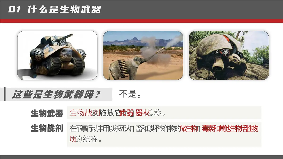 人教版2025高中生物选择性必修三4.3禁止生物武器 课件第4页