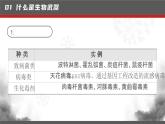人教版2025高中生物選擇性必修三4.3禁止生物武器 課件
