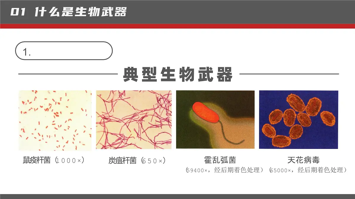 人教版2025高中生物选择性必修三4.3禁止生物武器 课件第6页