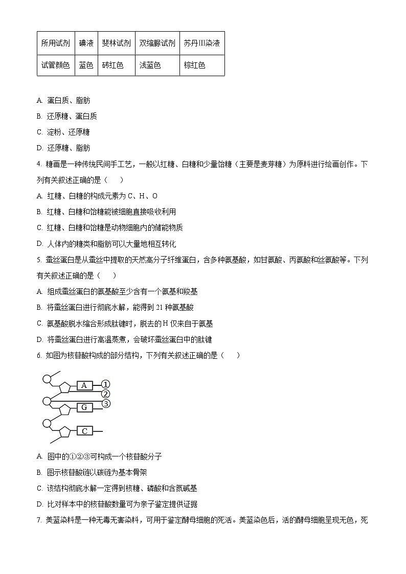 四川省泸州市2023-2024学年高一1月期末生物试题  Word版无答案第2页