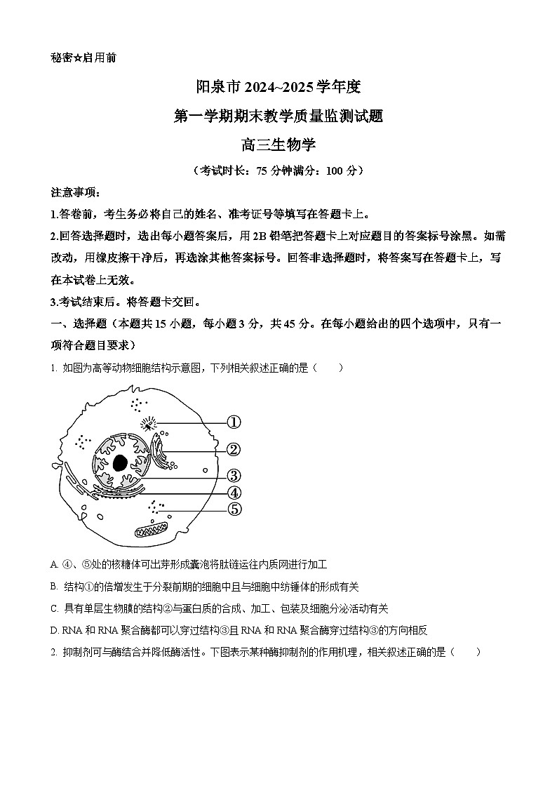 山西省阳泉市2024-2025学年高三上学期期末考试生物试题  Word版无答案第1页