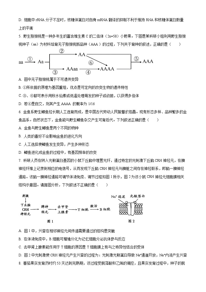 山西省阳泉市2024-2025学年高三上学期期末考试生物试题  Word版无答案第3页