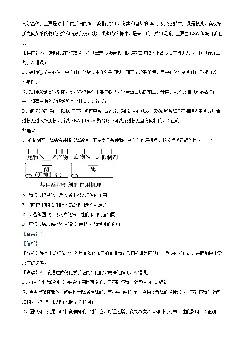 山西省阳泉市2024-2025学年高三上学期期末考试生物试题  Word版含解析第2页