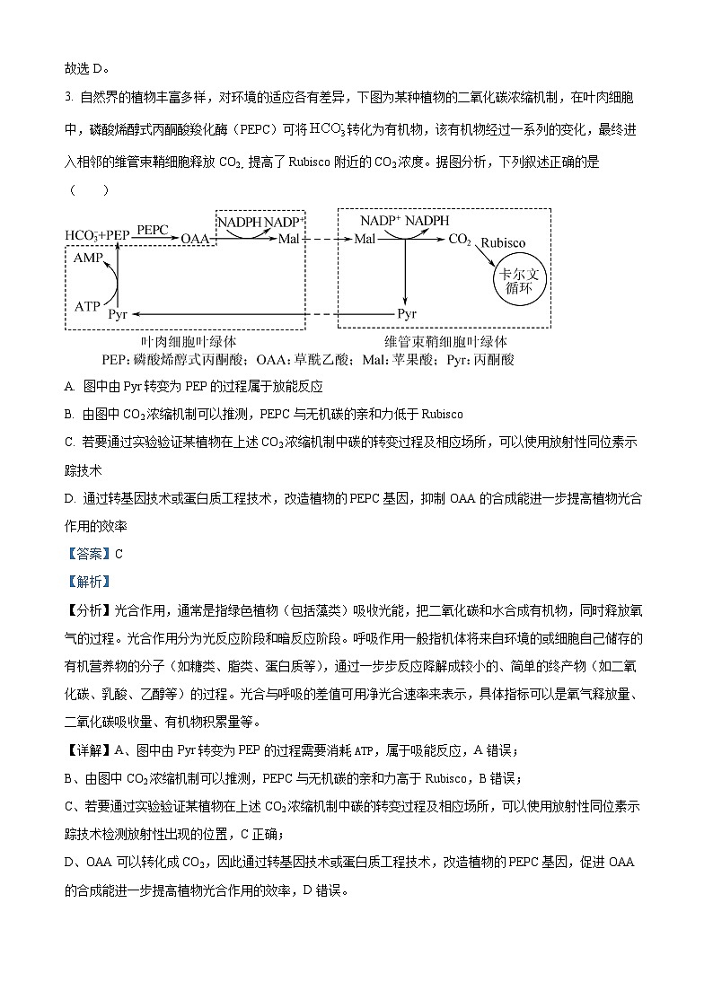 山西省阳泉市2024-2025学年高三上学期期末考试生物试题  Word版含解析第3页