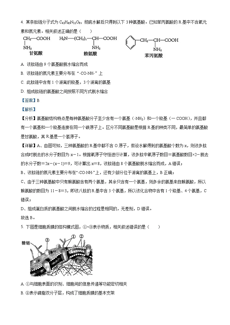 江苏省宿迁市泗阳县2024-2025学年高一上学期期末考试生物试卷 Word版含解析第3页