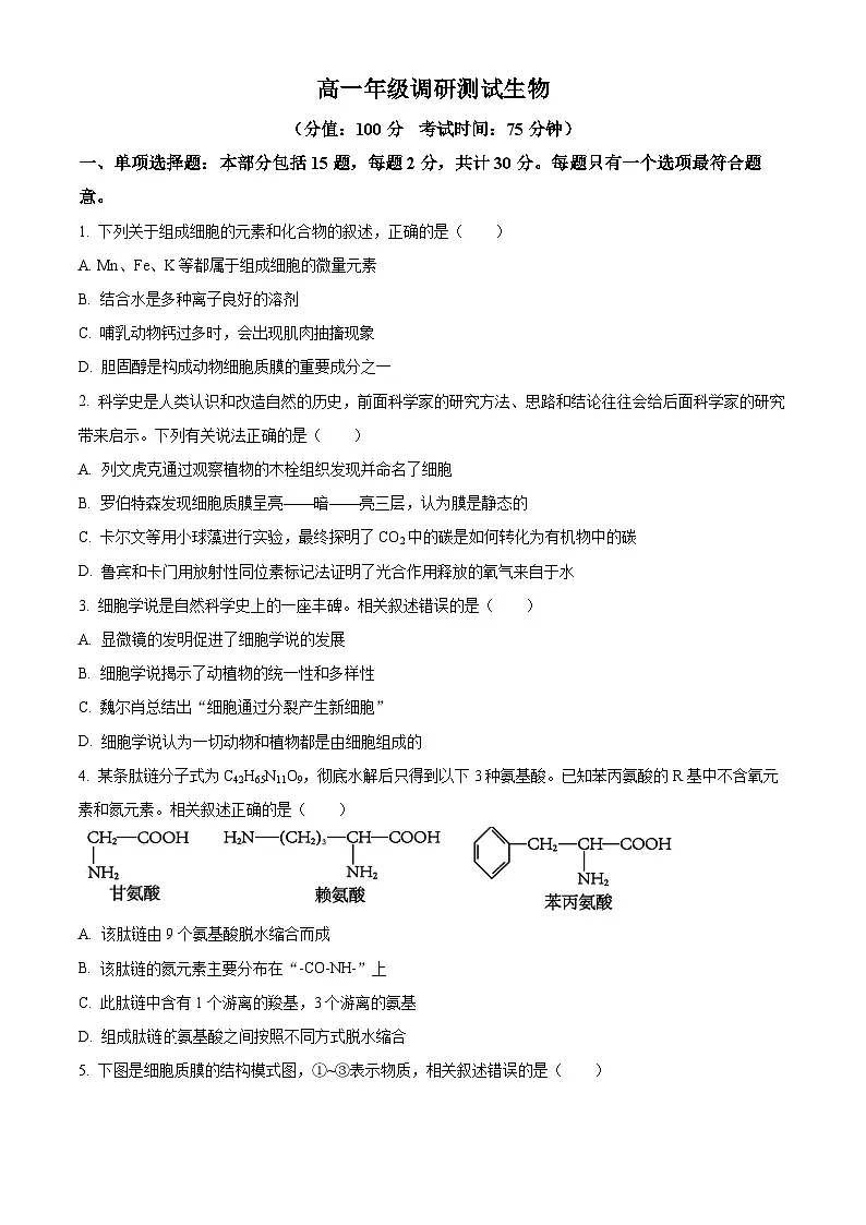 江苏省宿迁市泗阳县2024-2025学年高一上学期期末考试生物试卷 Word版无答案第1页