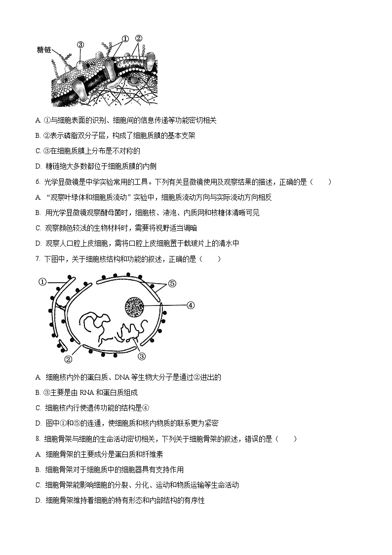 江苏省宿迁市泗阳县2024-2025学年高一上学期期末考试生物试卷 Word版无答案第2页