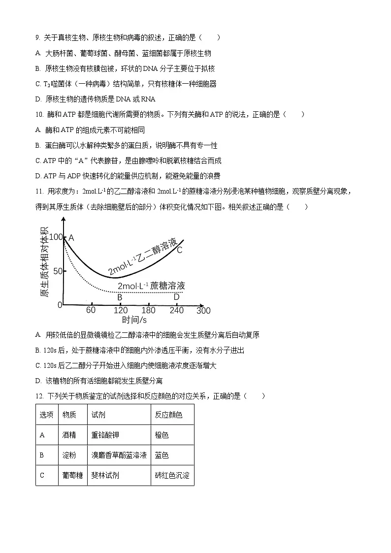 江苏省宿迁市泗阳县2024-2025学年高一上学期期末考试生物试卷 Word版无答案第3页