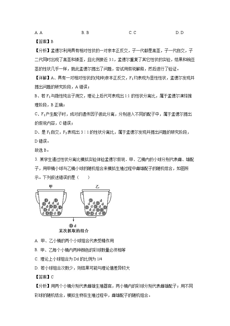 2023-2024学年天津市四校联考高一下学期期末考试生物试卷（解析版）第2页