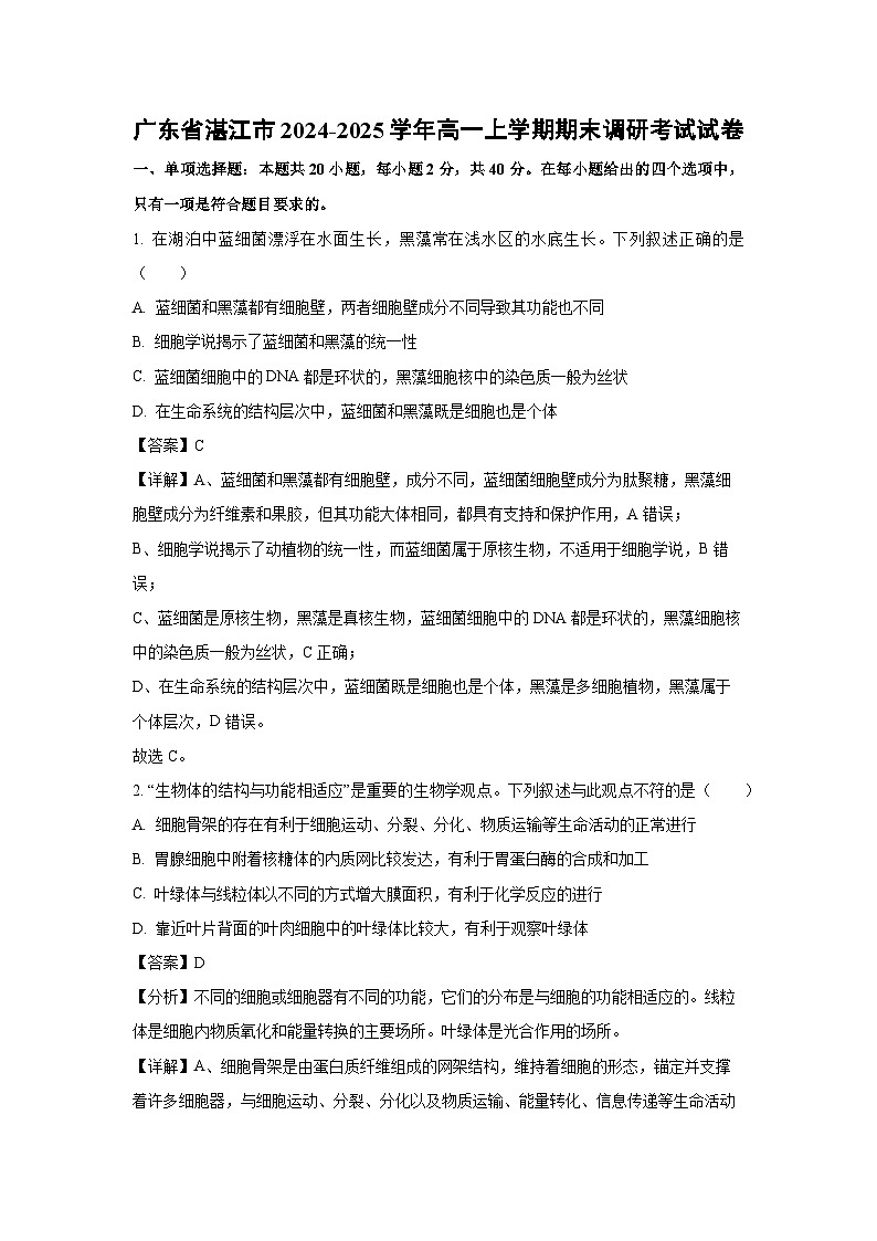 2024-2025学年广东省湛江市高一上学期期末调研考试生物试卷（解析版）第1页