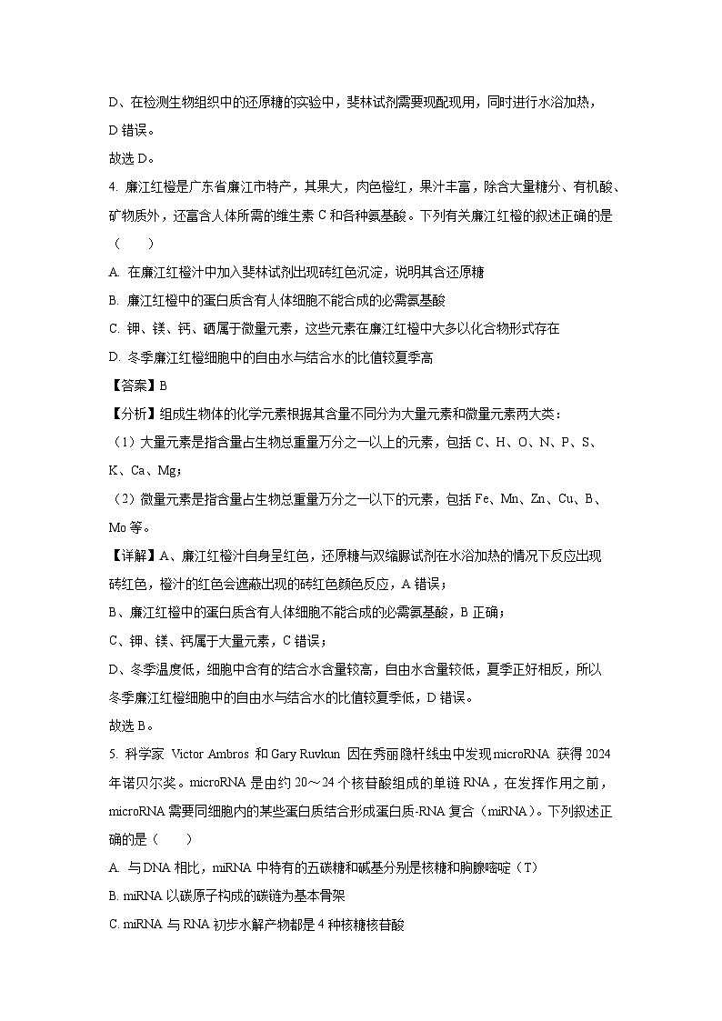 2024-2025学年广东省湛江市高一上学期期末调研考试生物试卷（解析版）第3页