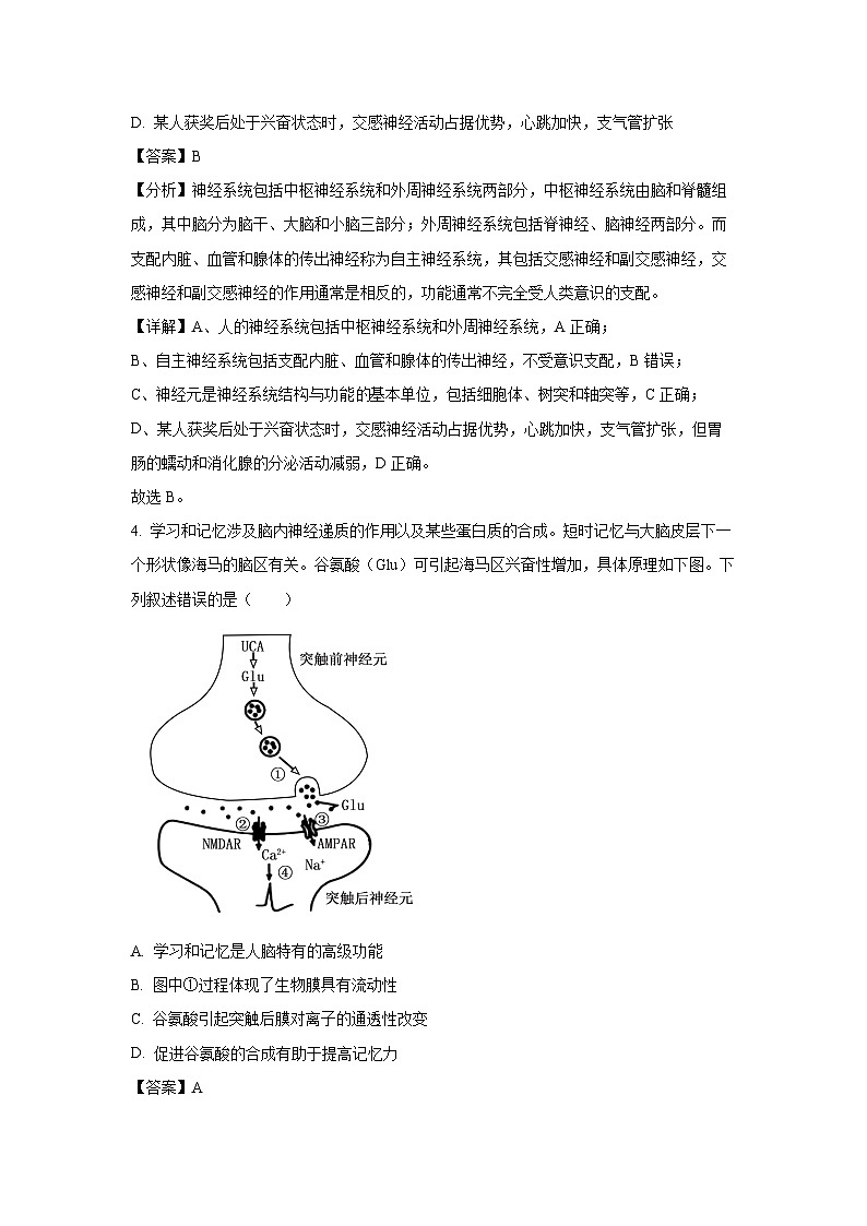 2024-2025学年广东五校高二上学期期末联考生物试卷（解析版）第3页