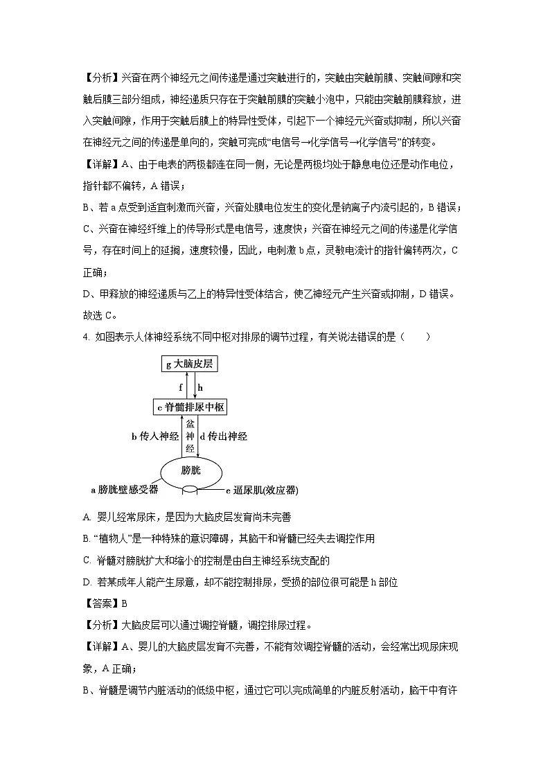 2024-2025学年广东省汕头市澄海区高二上学期期末考试生物试卷（解析版）第3页
