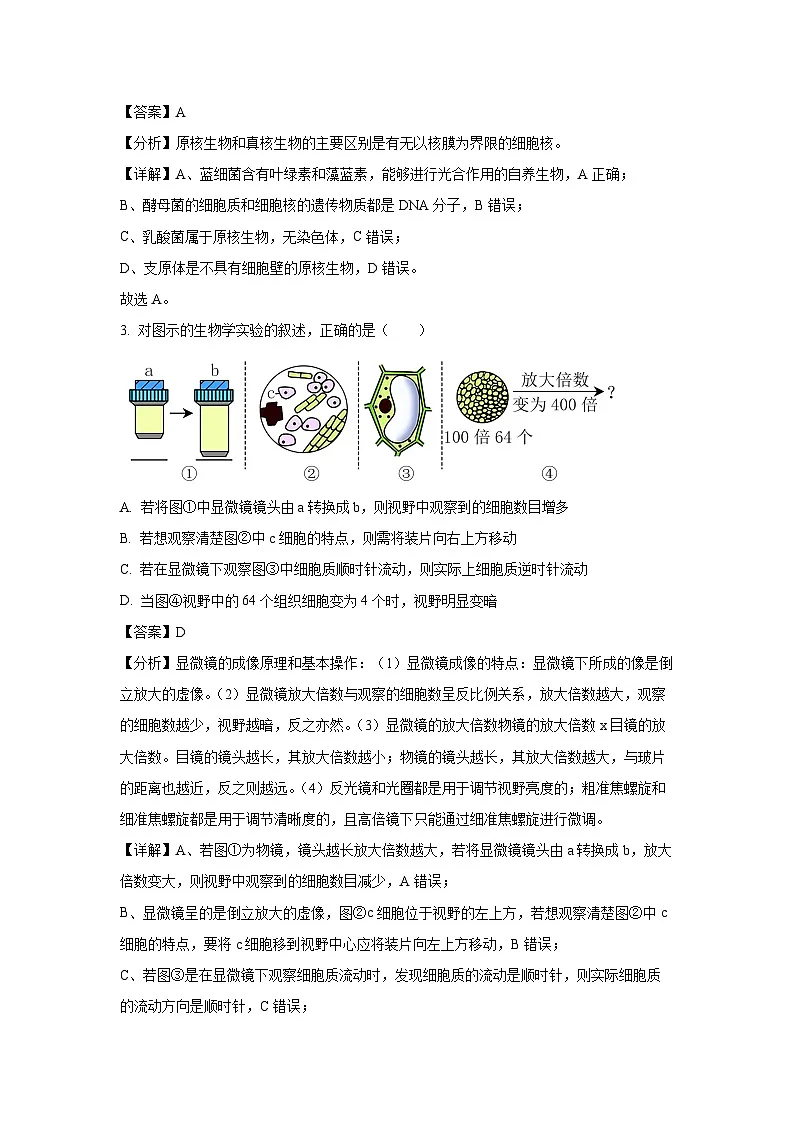 2024-2025学年广东省揭阳市揭东区第三中学高一上学期1月期末考试生物试卷（解析版）第2页