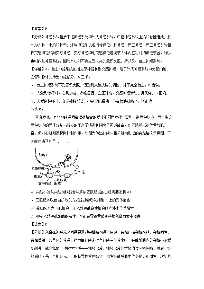 2024-2025学年河南省周口市高二上学期1月期末生物试卷（解析版）第2页