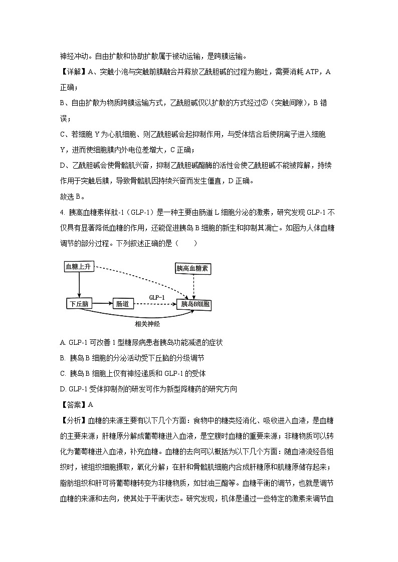 2024-2025学年河南省周口市高二上学期1月期末生物试卷（解析版）第3页