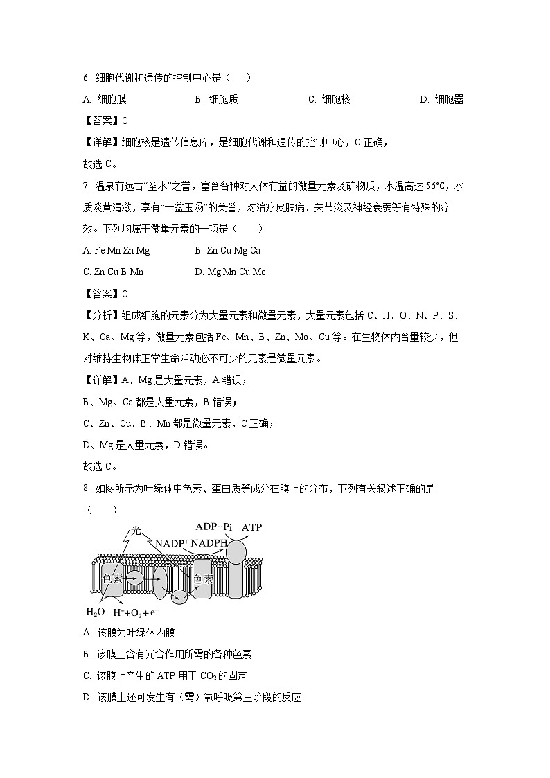 2024-2025学年黑龙江省牡丹江市高一上学期1月期末生物试卷（解析版）第3页