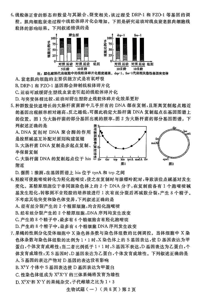 2025届山东省聊城市高三一模 生物试题及答案第2页