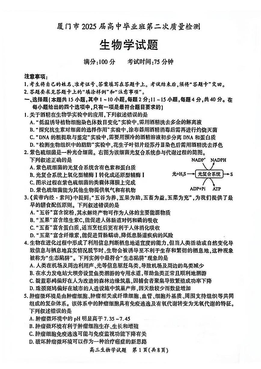 2025届福建省厦门市二模（二检） 高三第二次质量检测 生物试题及答案第1页