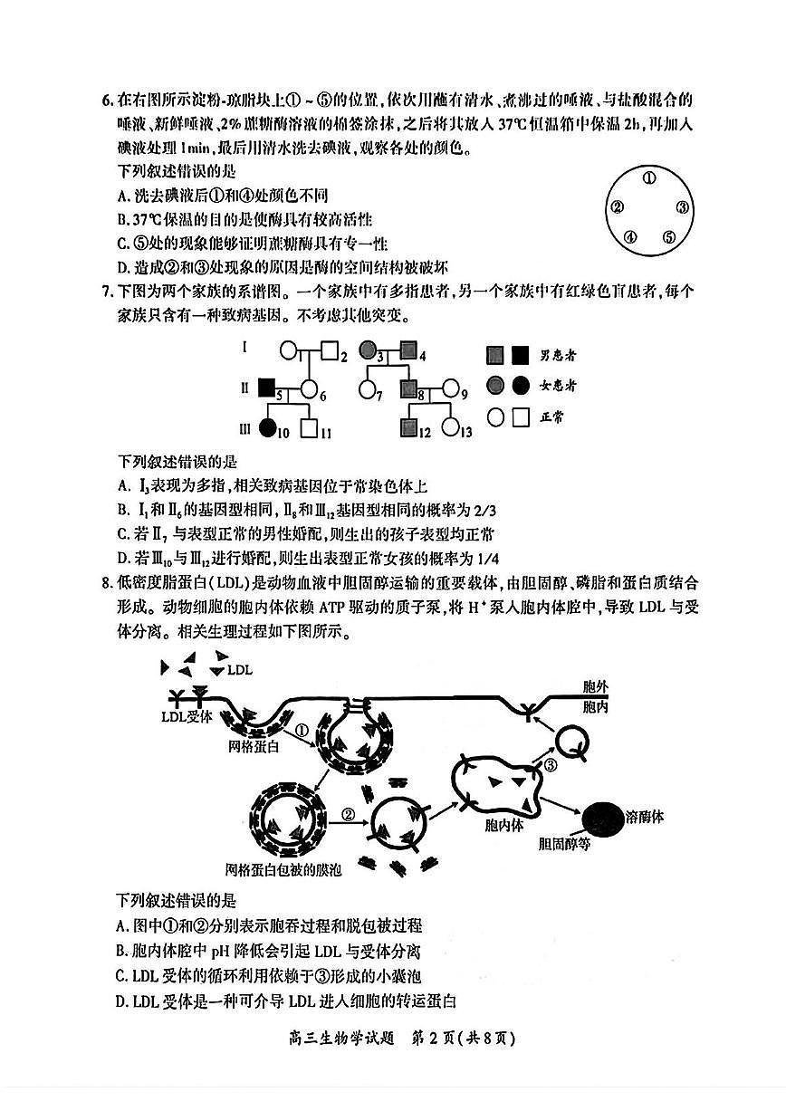 2025届福建省厦门市二模（二检） 高三第二次质量检测 生物试题及答案第2页