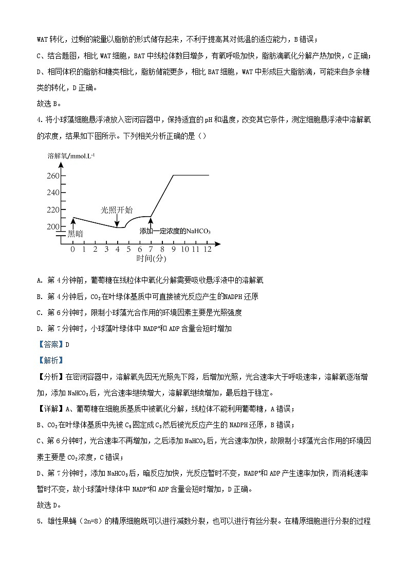 安徽省2024届高三生物下学期3月联考试题含解析第3页