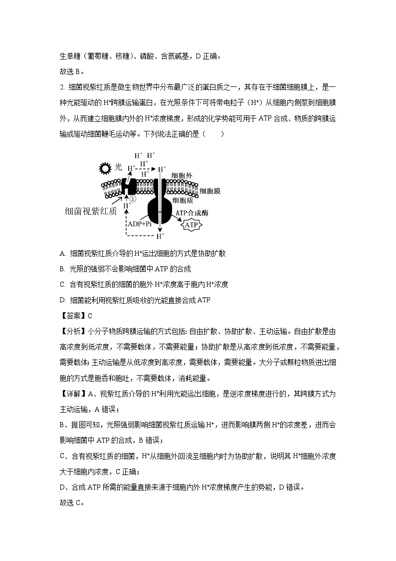 2024~2025学年河南省三门峡市高三上学期1月期末生物试卷（解析版）(2)第2页