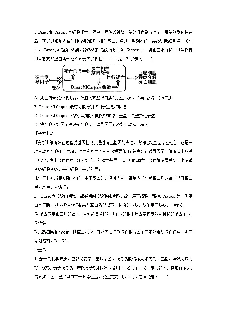 2024~2025学年河南省三门峡市高三上学期1月期末生物试卷（解析版）(2)第3页