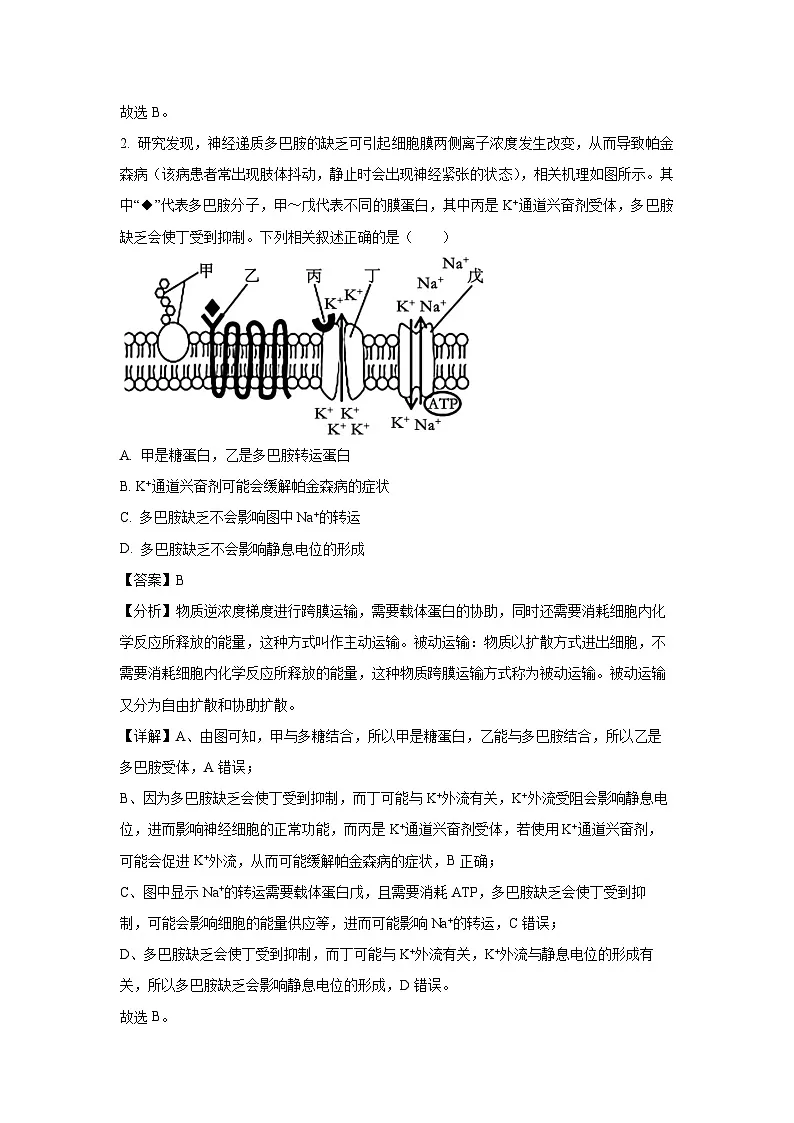 2024~2025学年河北省部分学校高二上学期1月期末考试生物试卷（解析版）第2页