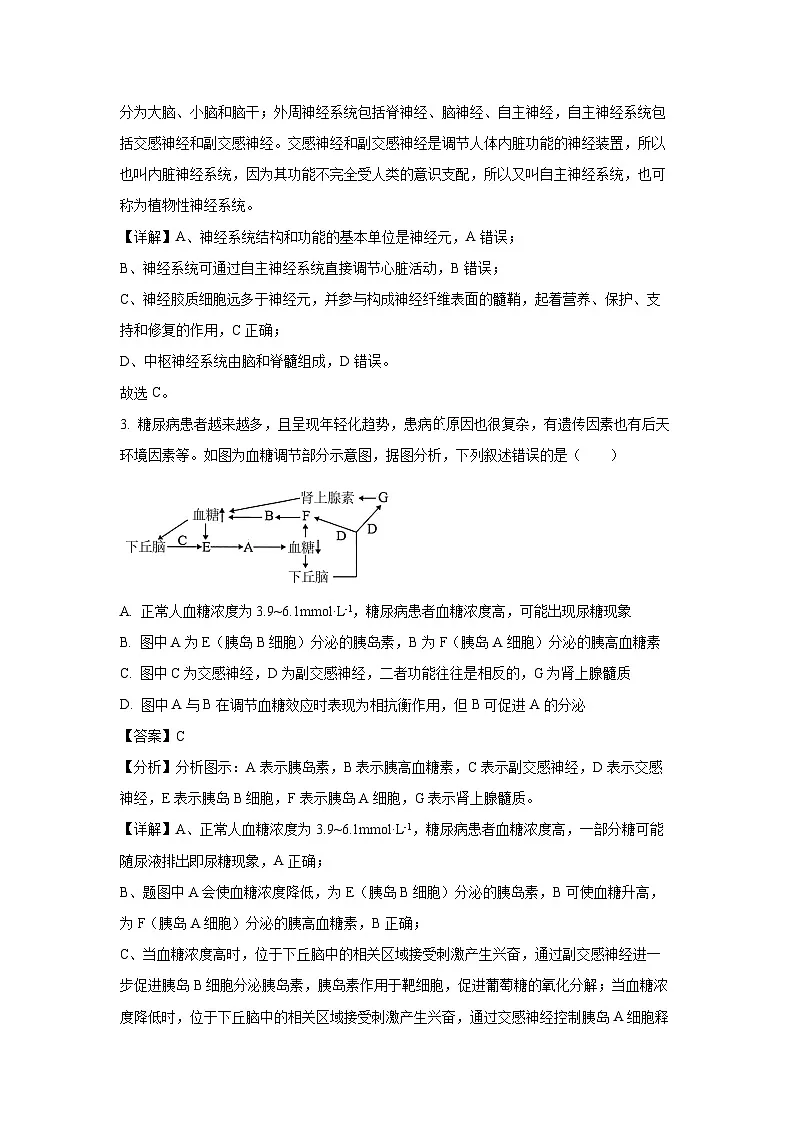 2024~2025学年河北省衡水市至臻高二上学期1月期末生物试卷（解析版）第2页