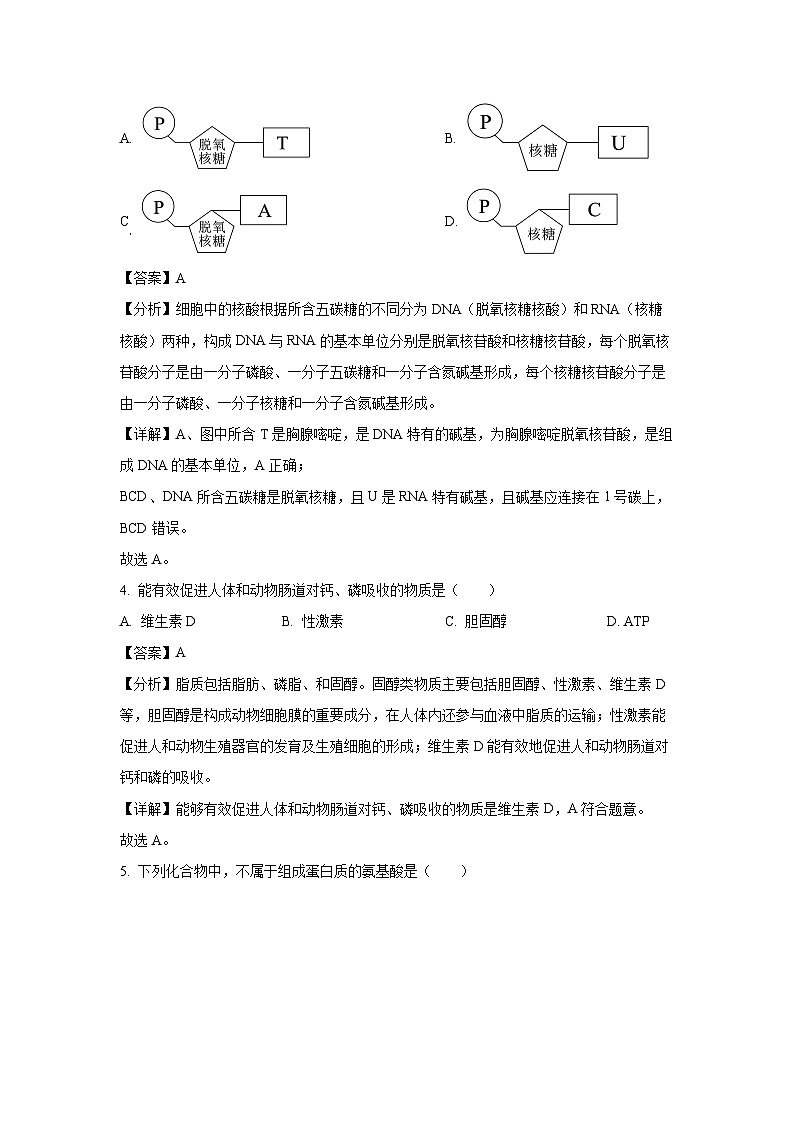 2024~2025学年陕西省西安市某校高一上学期期末考试生物试卷（解析版）第2页