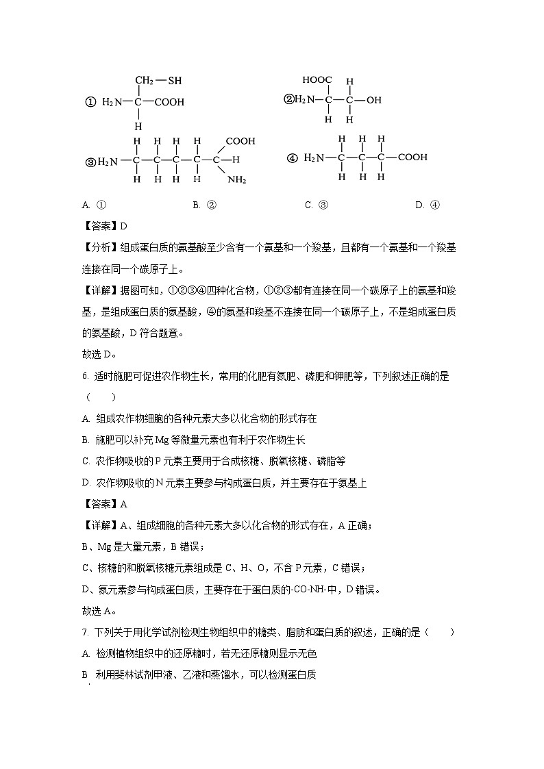 2024~2025学年陕西省西安市某校高一上学期期末考试生物试卷（解析版）第3页
