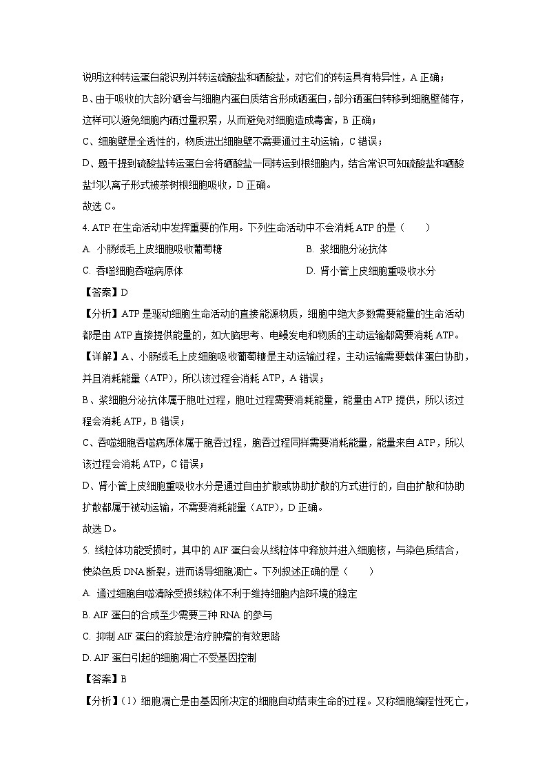 2024~2025学年甘肃省白银市高三上学期1月期末生物试卷（解析版）第3页