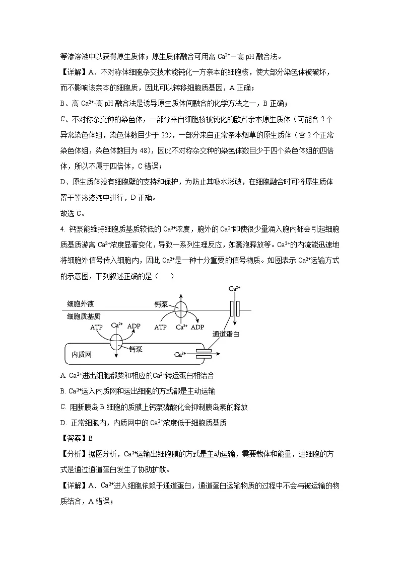2024~2025学年湖南省娄底市高三上学期1月月考生物试卷（解析版）第3页