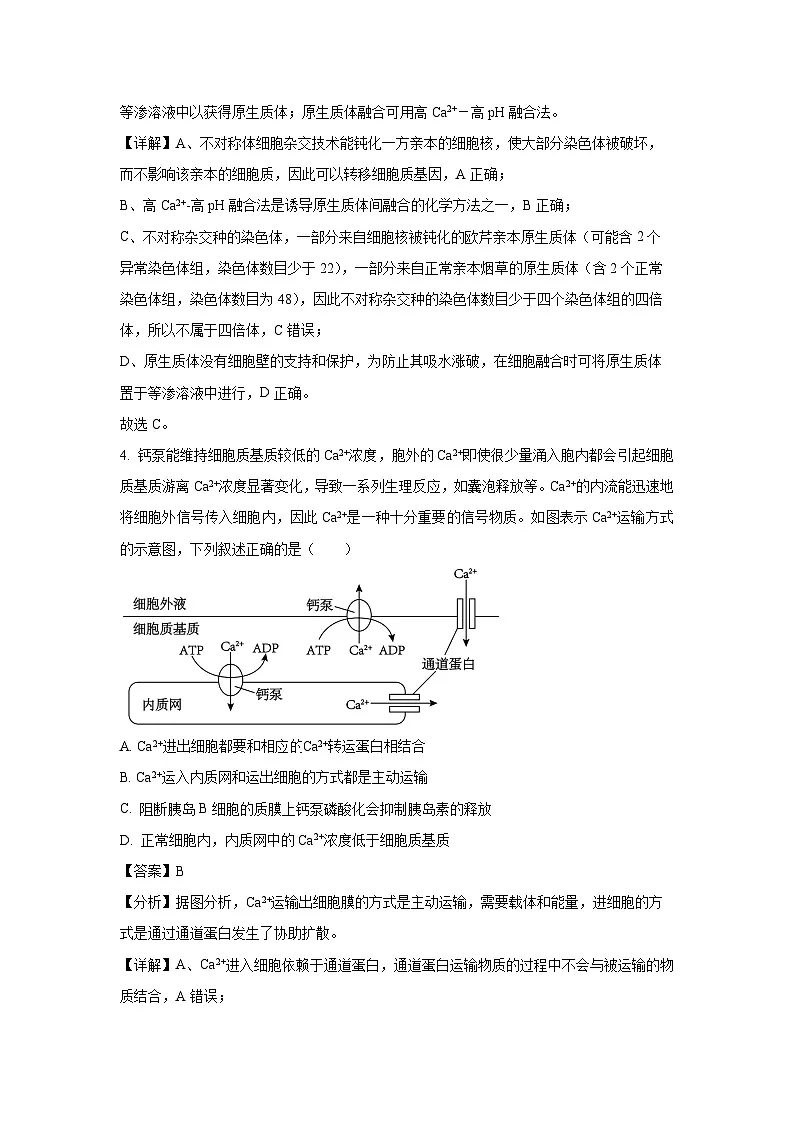 2024~2025学年湖南省娄底市高三上学期1月月考生物试卷（解析版）(2)第3页