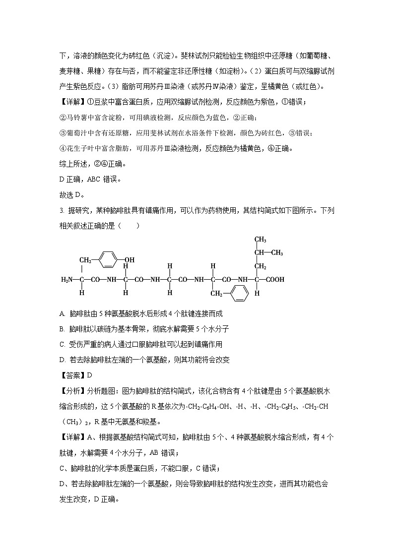 2024~2025学年海南省三亚市高一上学期期末考试生物试卷（解析版）第2页