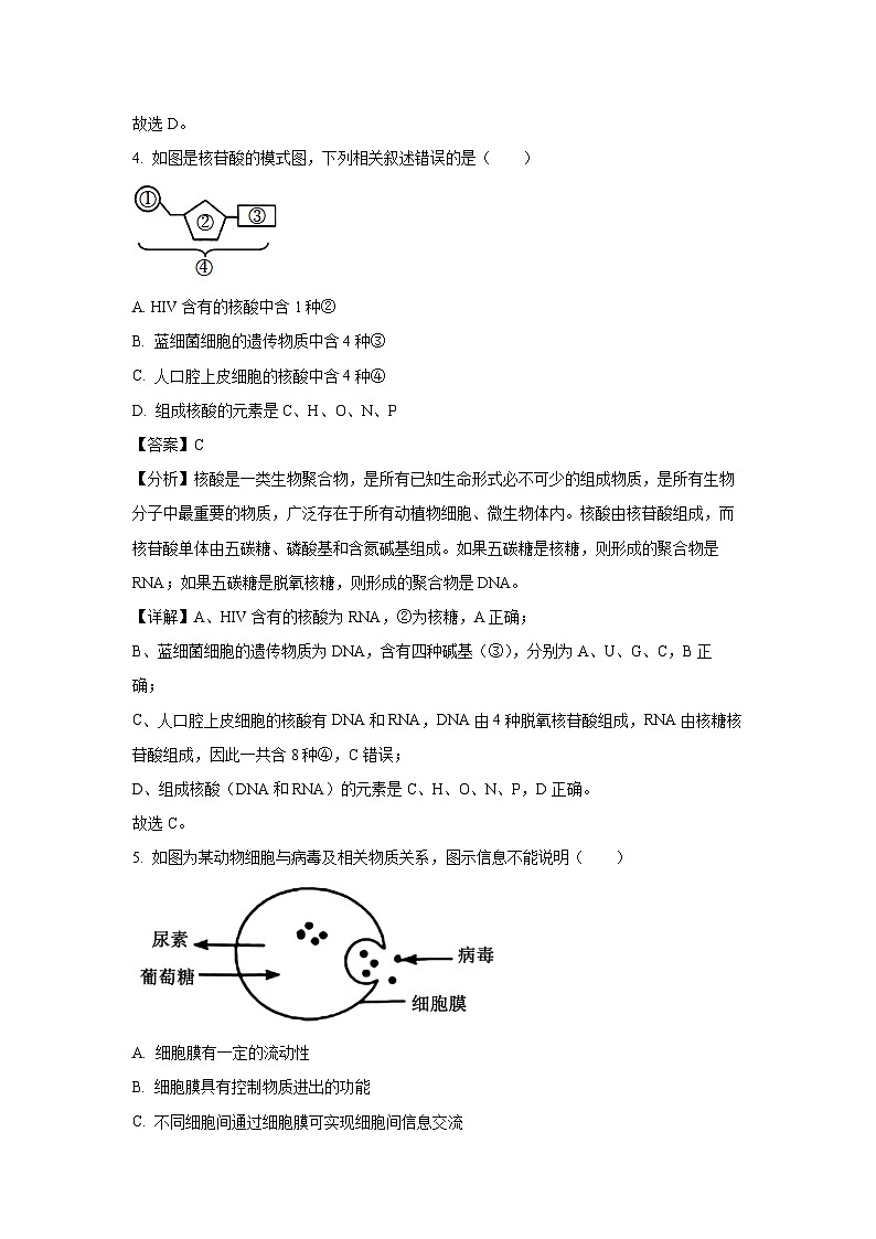 2024~2025学年海南省三亚市高一上学期期末考试生物试卷（解析版）第3页