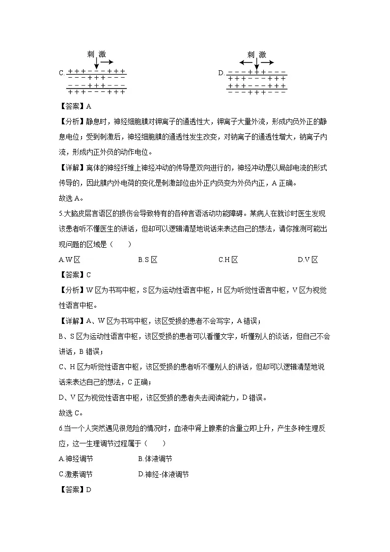 2024~2025学年河南省开封市五县高二上学期1月期末联考生物试卷（解析版）第3页