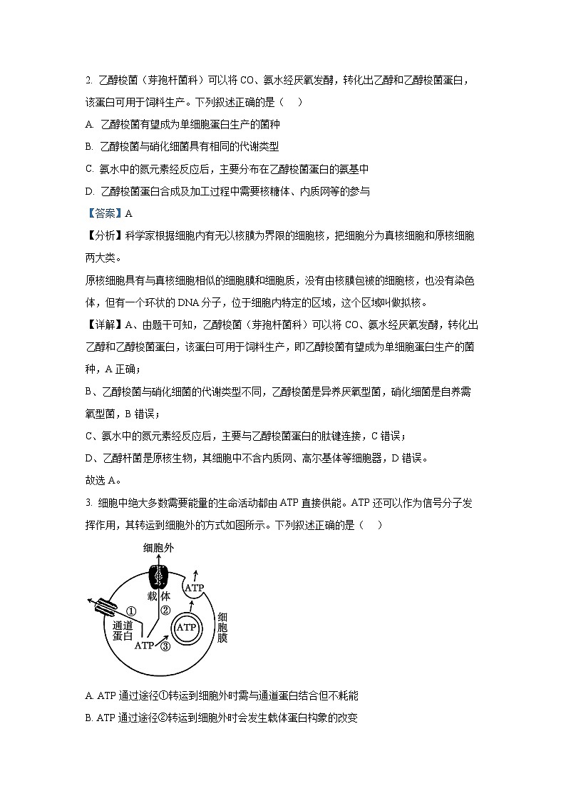 2024~2025学年江苏省苏州市高三上学期1月期末生物试卷（解析版）第2页