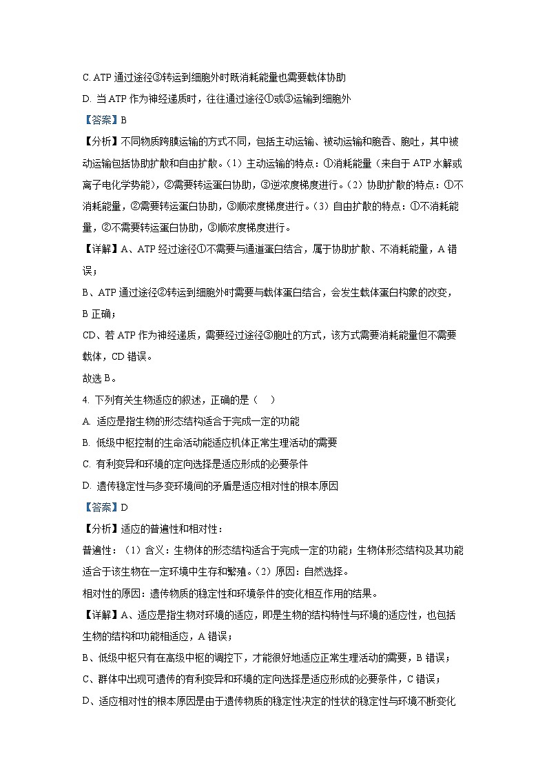 2024~2025学年江苏省苏州市高三上学期1月期末生物试卷（解析版）第3页