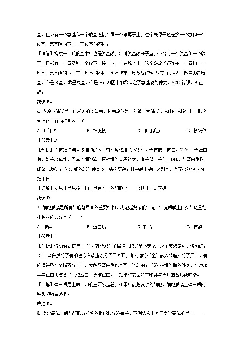2024~2025学年江苏省盐城市高二上学期学业水平合格性考试模拟生物试卷（解析版）第3页