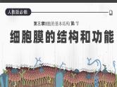 人教版2025高中生物必修一3.1细胞膜的结构和功能 课件