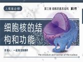 人教版2025高中生物必修一3.3 细胞核的结构和功能 课件